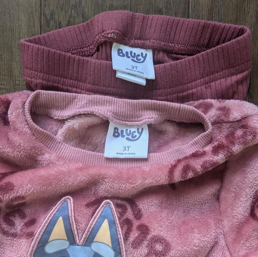 Bluey Cozy Sweatshirt Set